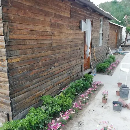 Lime Tree Houses